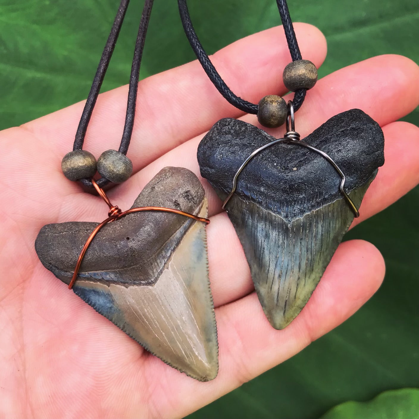 Paleo Accessories