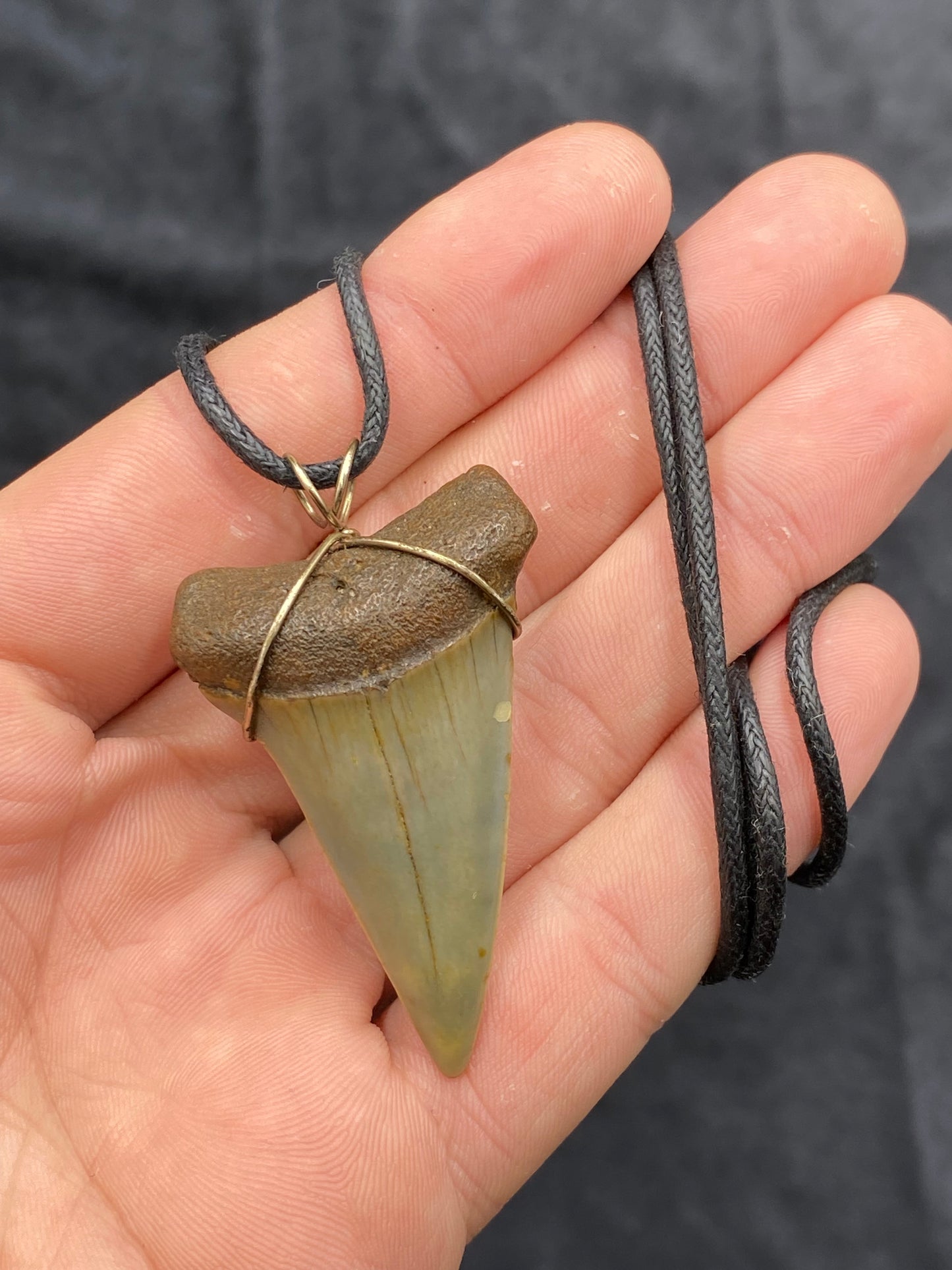 Mako Shark Tooth Necklace