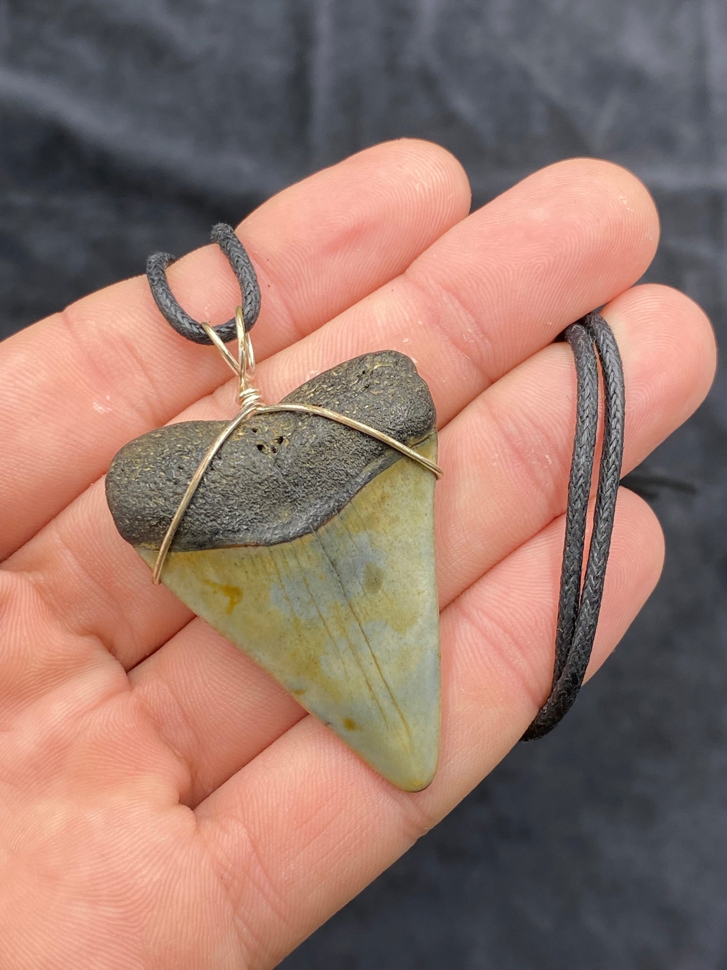 Mako Shark Tooth Necklace