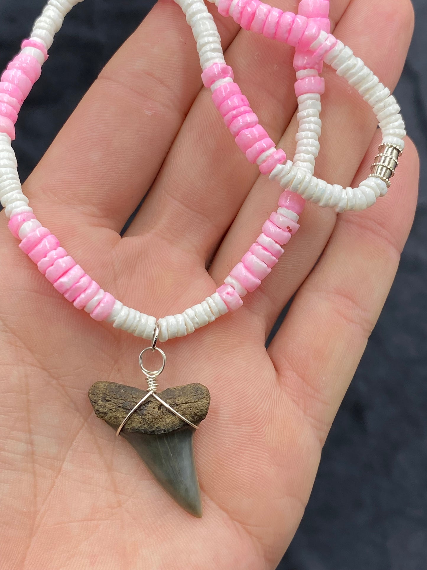 Mako Shark Tooth Necklace