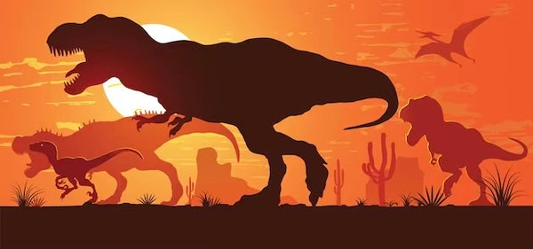 Paleo Plus